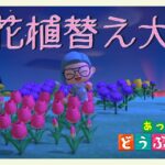 【#あつまれどうぶつの森】こんぺい島、お花の植替え大会開催【にじさんじ/ドーラ】