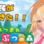 【あつまれ どうぶつの森】ようこそ新住民！【不知火フレア/ホロライブ】