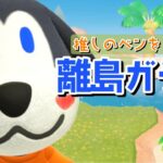 【あつ森】そろそろ出てきて欲しいな！ベンを探す離島ガチャ配信！【あつまれ どうぶつの森】