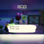 オズモンドからの質問　#vlog #animalcrossing #animal #shorts #あつ森