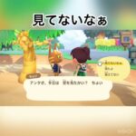 ちょいちゃんとおしゃべり　#vlog #animalcrossing #animal #あつまれどうぶつの森 #あつ森 #shorts