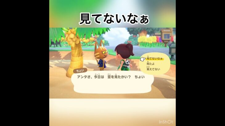 ちょいちゃんとおしゃべり　#vlog #animalcrossing #animal #あつまれどうぶつの森 #あつ森 #shorts