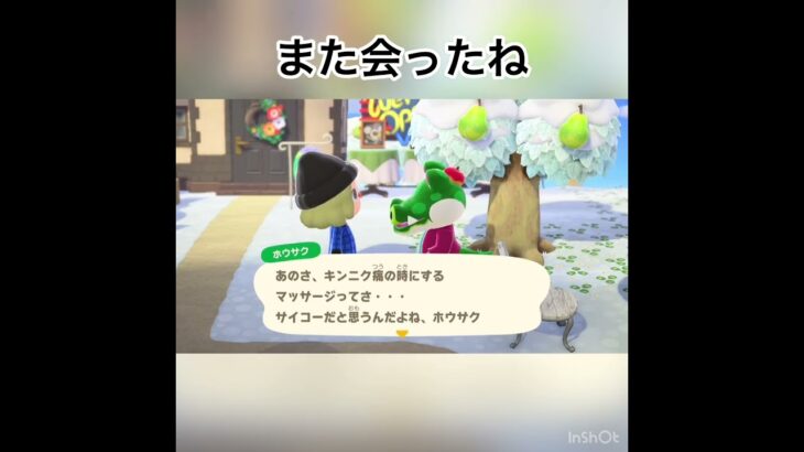 ホウサクダァ　#vlog #animalcrossing #animal #あつまれどうぶつの森 #あつ森 #vlog #shorts