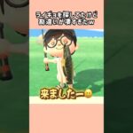 【あつ森】夏のレア魚釣り中のとんでもない勘違いw【あつまれどうぶつの森】#shorts #あつ森