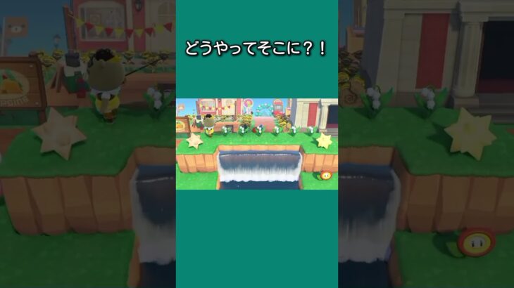 【あつ森】ジャスティンどうやってそこに登ったの？！ww【あつまれどうぶつの森】【どうぶつの森】【ACNH】 #short