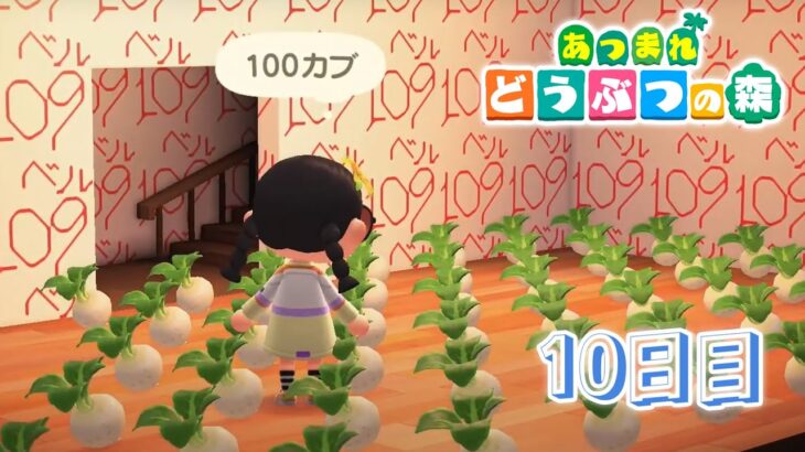 【あつまれどうぶつの森】カブ価、上がります。10日目【海妹四葉/にじさんじ】