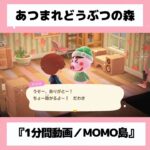 ◉【あつ森】『1分間動画』#26／#shorts   #あつまれどうぶつの森　#animalcrossingnewhorizons   #acnh   #동물의숲