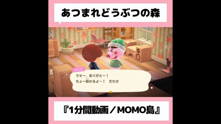 ◉【あつ森】『1分間動画』#26／#shorts   #あつまれどうぶつの森　#animalcrossingnewhorizons   #acnh   #동물의숲