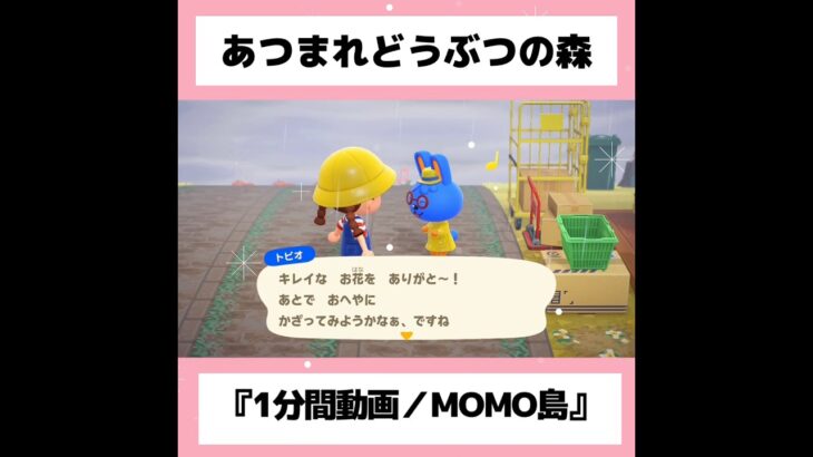 ◉【あつ森】『1分間動画』#28／#shorts   #あつまれどうぶつの森　#animalcrossingnewhorizons   #acnh   #동물의숲