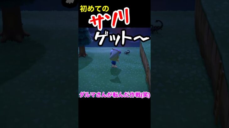 【遂にやったー！(笑)あつ森#12】#shorts#switch#あつ森#あつまれどうぶつの森#ゲーム