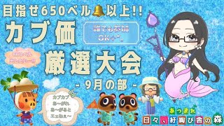 【あつ森】183時間目：目指せ650ベル以上！みんなでカブ厳選大会✨【9月の部】【初見さん歓迎🔰】