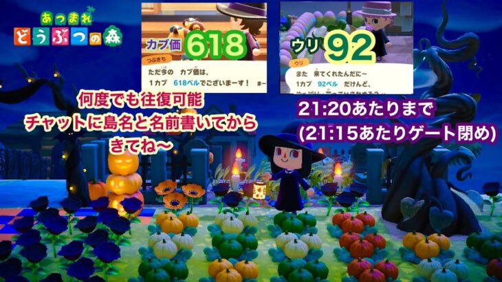 【あつ森】2024,9/29 カブ価618&ウリ92(21:20あたりまで)【チャットに島名と名前書いてからきてね〜】