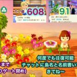 【あつ森】2024,9/7 カブ価608&ウリ91(21:00あたりまで)【チャットに島名と名前書いてからきてね〜】