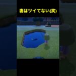 【ツイてない妻(笑)#25】#shorts#switch#あつ森#あつまれどうぶつの森#ゲーム