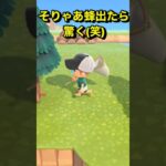 【蜂はびっくりする(笑)あつ森#2】#shorts#switch#あつ森#あつまれどうぶつの森#ゲーム