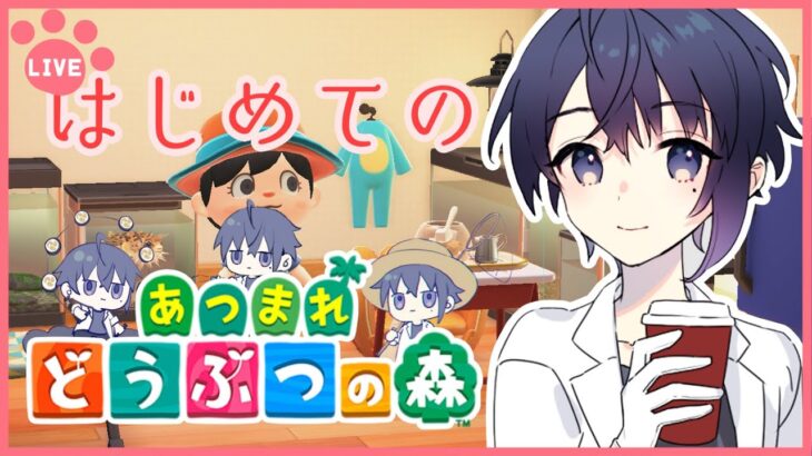 【 あつまれどうぶつの森 】島暮らし3日目  博物館っていつできる？【 穴熊 冥 】