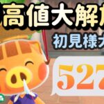 【あつ森実況】緊急！カブ価527ベル！往復何度でも！！初見さんも大歓迎！