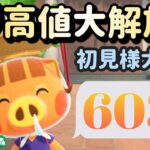 【あつ森実況】お金がっぽり！カブ価603ベル！往復何度でも！！初見さんも大歓迎！