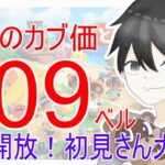 【あつ森】カブ価657,609ベルを無償開放。往復OK！カブ活しましょう！【カブ活】【ライブ配信】