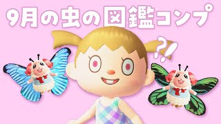 【あつ森】9月の虫の図鑑をコンプしたい！｜ちゃちゃまると作る島づくり【生配信】