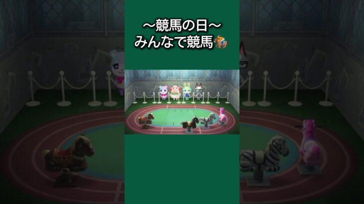 【あつ森】本日9月15日は「競馬の日」みすず、ミッチェル、ジャックは当てたみたいだけど、ちゃちゃまるだけハズレちゃった？😂【あつまれどうぶつの森】【どうぶつの森】【ACNH】 #short