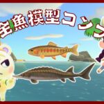 🔴【あつ森】全魚模型コンプを目指して｜チョウザメ｜ゴールデントラウト｜9月もよろしくね｜#165