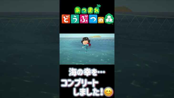 【あつ森】㊗️🎊㊗海の幸をコンプリートしました㊗️🎉 #どうぶつの森 #AnimalCrossing #ACNH #NintendoSwitch #海の幸 #コンプリート