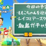 【鉄腕DUTZ～19日目～】あつ森を1ミリも知らない男が１年間でだっつ島を作る！【あつ森】