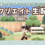 【あつ森】飛行場前のエントランスを作りたい！島クリLIVE配信！【あつまれ どうぶつの森】