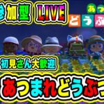 LIVE【あつまれどうぶつの森】参加型😀初見さん大歓迎♪あつ森で休日を楽しもうよ🔥VTuber氷川つき🧊 #あつまれどうぶつの森 #あつ森 #131