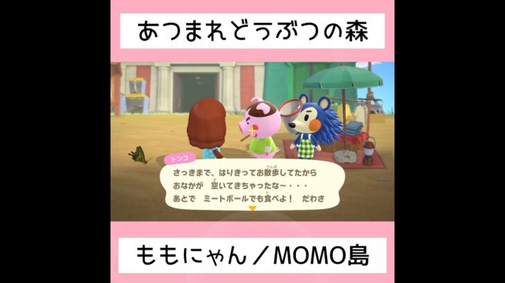 【あつ森】MOMO島へようこそ！！①⑨／#shorts   #あつまれどうぶつの森　#animalcrossingnewhorizons   #acnh   #동물의숲