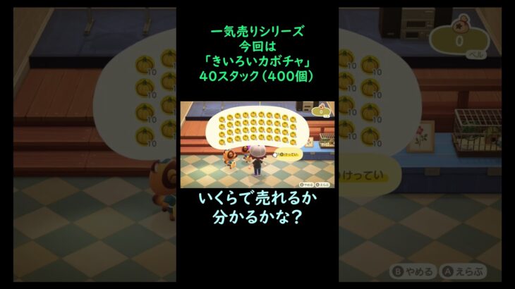 【あつ森】　一気売り シリーズ  Part314 今回は 【きいろいカボチャ】 40スタック いくらか分かるかい？