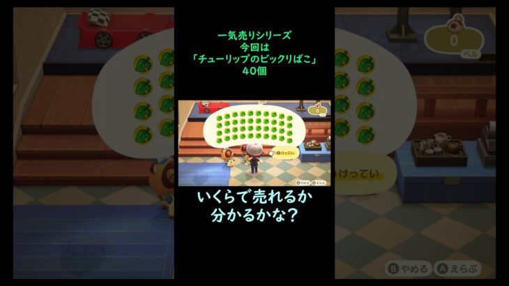 【あつ森】　一気売り シリーズ  Part374 今回は 【チューリップのビックリばこ】 40個 いくらか分かるかい？