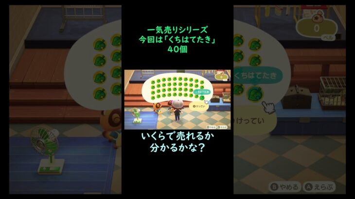 【あつ森】　一気売り シリーズ  Part385 今回は 【くちはてたき】 40個 いくらか分かるかい？