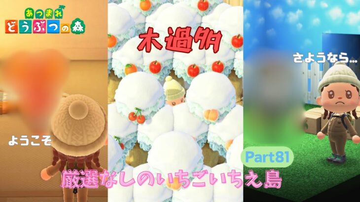 【あつ森】果樹園作ってたらキャンパー来るしお客さんも来るし盛りだくさんのいちごいちえ島Part81