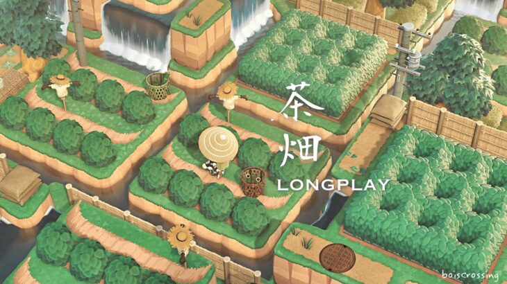 【あつ森】茶畑をつくる🍵 | Tea Farm | Animal Crossing Longplay   (No Commentary)