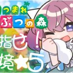 〖あつ森〗★４からの高い壁を乗り越えていきたい環境整備〖リア・フェイ￤新人VTuber〗