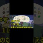 【あつ森Vlog】お金のなる木の増やし方♪億り人に俺はなる！～増やす力～   #あつ森 #shorts #animalcrossing #あつまれどうぶつの森