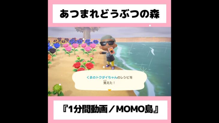 ◉【あつ森】What I like, when I like it『1分間動画』#33／#shorts   #あつまれどうぶつの森　#animalcrossingnewhorizons