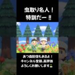 【あつ森】虫取り名人！特訓だー‼︎ #animalcrossing #あつまれどうぶつの森 #あつ森 acnh