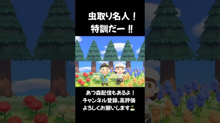 【あつ森】虫取り名人！特訓だー‼︎ #animalcrossing #あつまれどうぶつの森 #あつ森 acnh