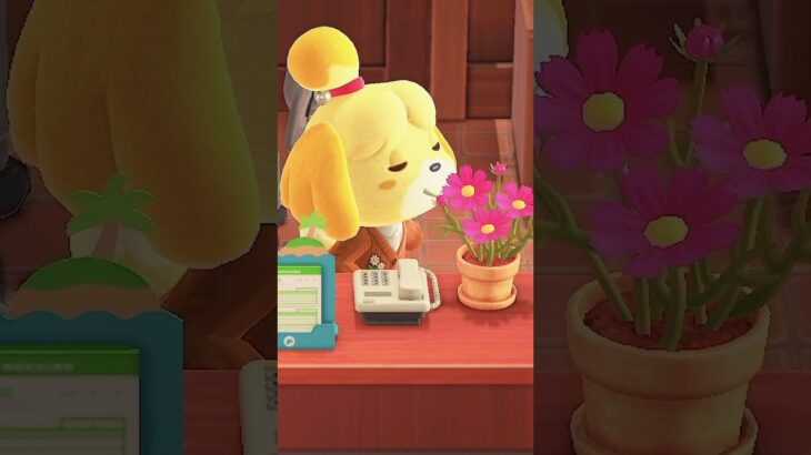 여울이는 강쥐 #모동숲 #animalcrossingnewhorizons  #あつ森　#しずえ #isabelle