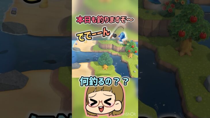 【あつ森】釣りだ釣りだ釣りだ～！キングだ～！👑#ゲーム実況 #ゲーム配信 #ゲーム #あつ森 #あつまれどうぶつの森 #short #shorts #switch #shortvideo