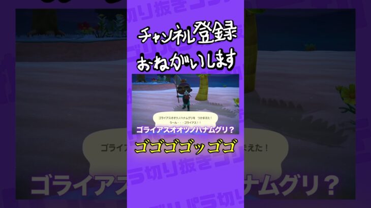 【あつ森】高級そうな名前 #ゲーム実況 #あつまれどうぶつの森 #shorts #あつ森 #どうぶつの森