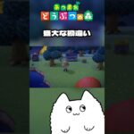 盛大な勘違い #あつ森 #ゲーム実況 #shorts