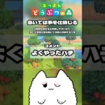 急いては事を仕損じる #あつ森 #ゲーム実況 #shorts