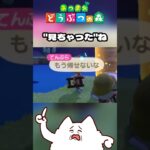 “見ちゃった”ね #あつ森 #ゲーム実況 #shorts