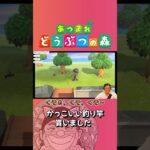 【あつ森配信】漁師のプライドをへし折られたタクヤ【あつまれどうぶつの森/switch/任天堂】