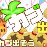 【あつ森】出たら即終了｜カブ厳選｜ライブ【あつまれどうぶつの森】