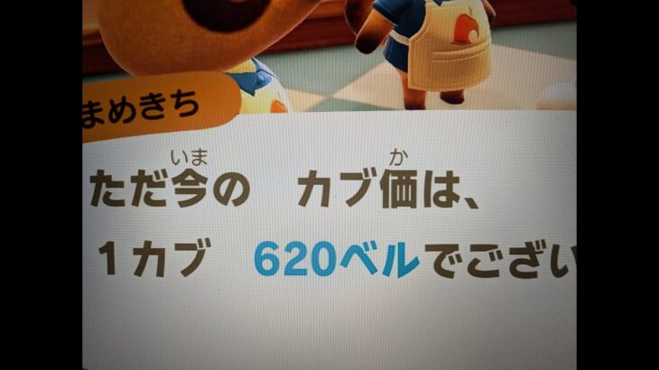 あつ森　カブ６２０　チャンネル登録で無料